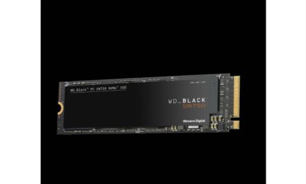 ويسترن ديجيتال ترفع سقف الألعاب مع المحرك الجديد WD BLACK SN750 NVME SSD
