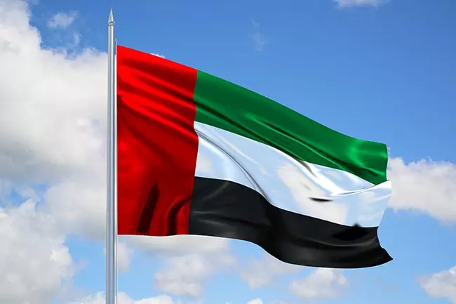 الإمارات تتقدم أربعة مراكز عالمياً في حصة البحث العلمي