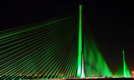 تزامناً مع اليوم الوطني الـ 91 .. وزارة النقل والخدمات اللوجستية تضيء الجسر المعلق باللون الأخضر