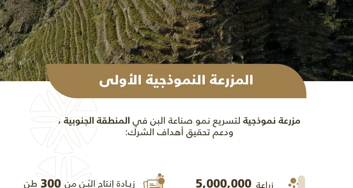 الشركة السعودية للقهوة تحتفل بإطلاق مزرعتها النموذجية الأولى في جازان لتعزيز الممارسات الزراعية المستدامة