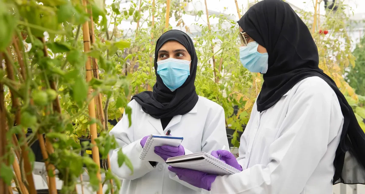 جامعة الإمارات تدعم التقدم العلمي والبحثي بتمويل 132 مشروعاً بحثياً يُعزّز  الابتكار والتطوير